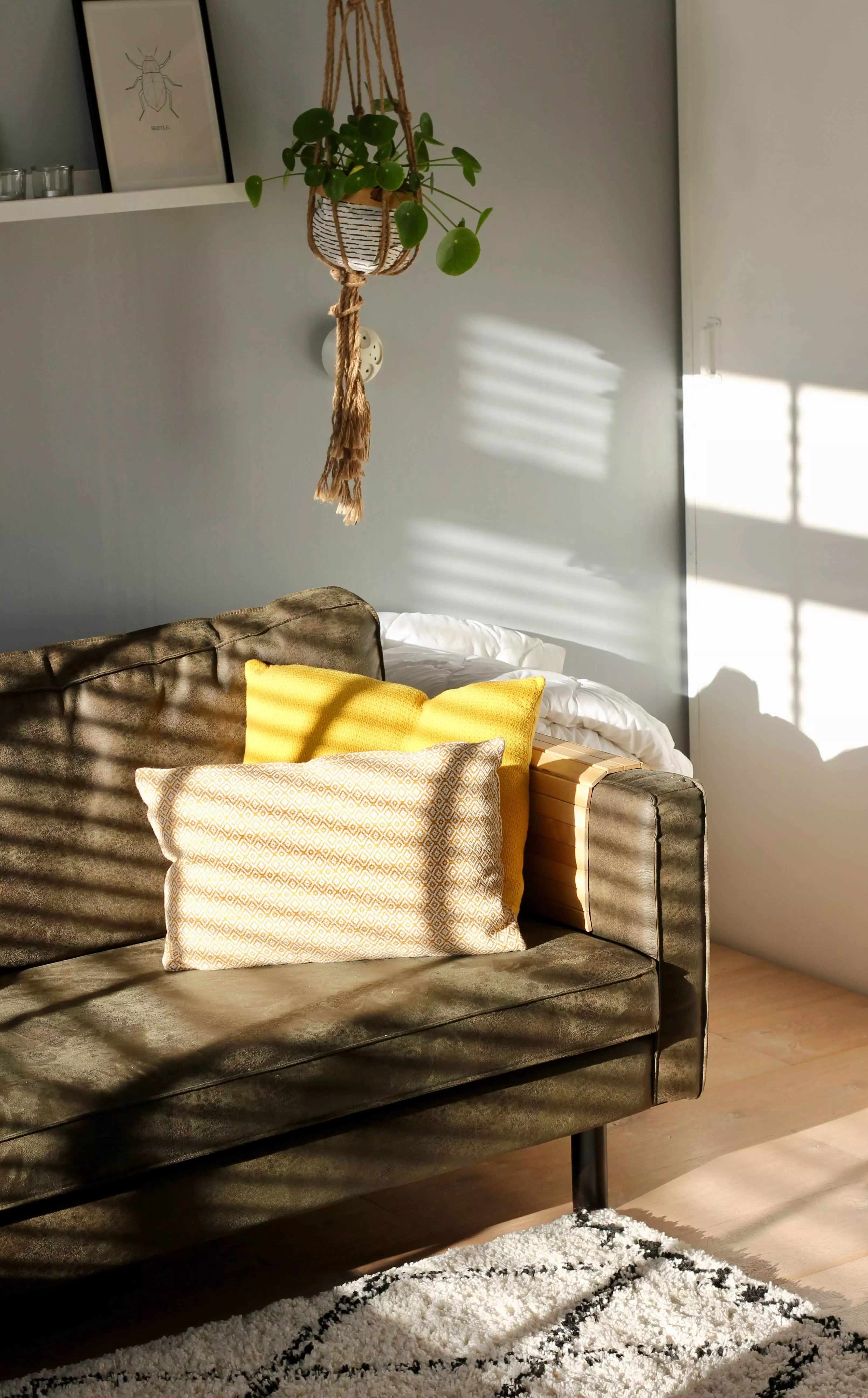 sofas